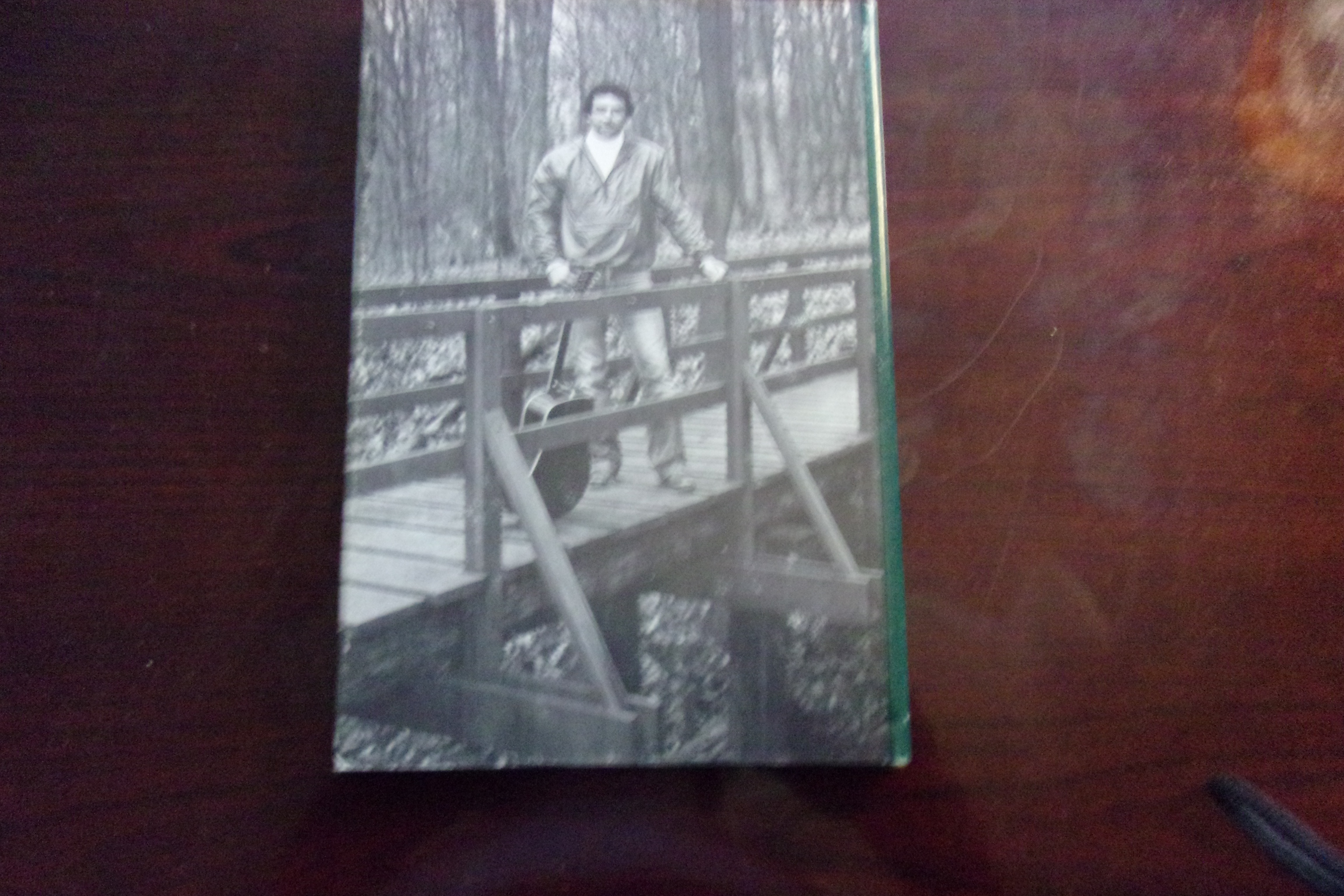 Back cover of Fantasies by John Michael